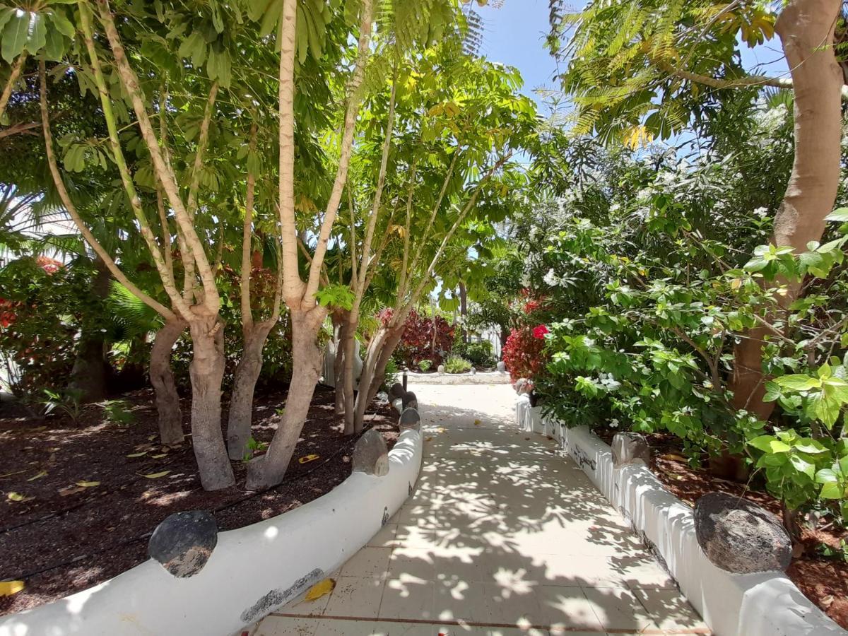 Parque Don Jose 390 Apartment Arona  Exterior photo